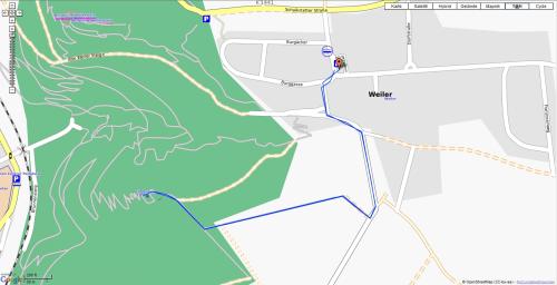 Die gelaufene Strecke ca. 1,9km